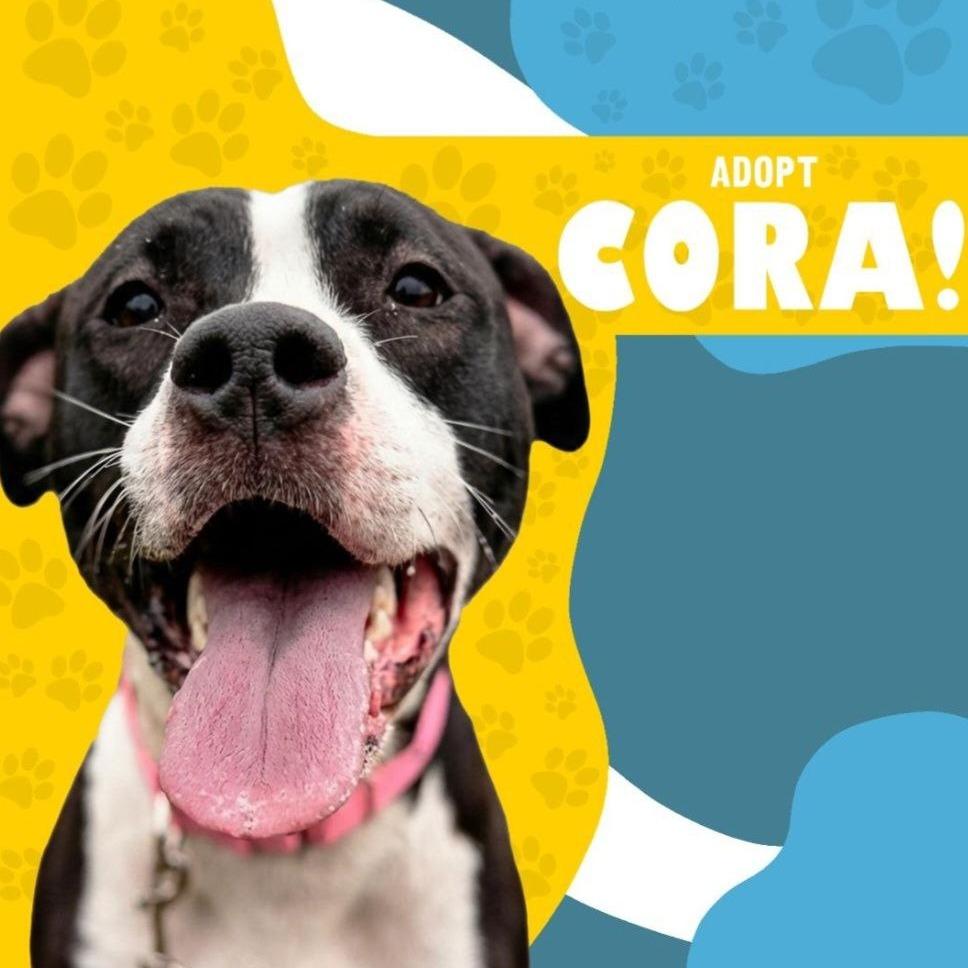 Cora — thumbnail 5