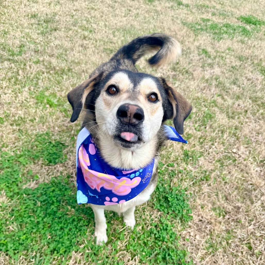 Montana — thumbnail 3