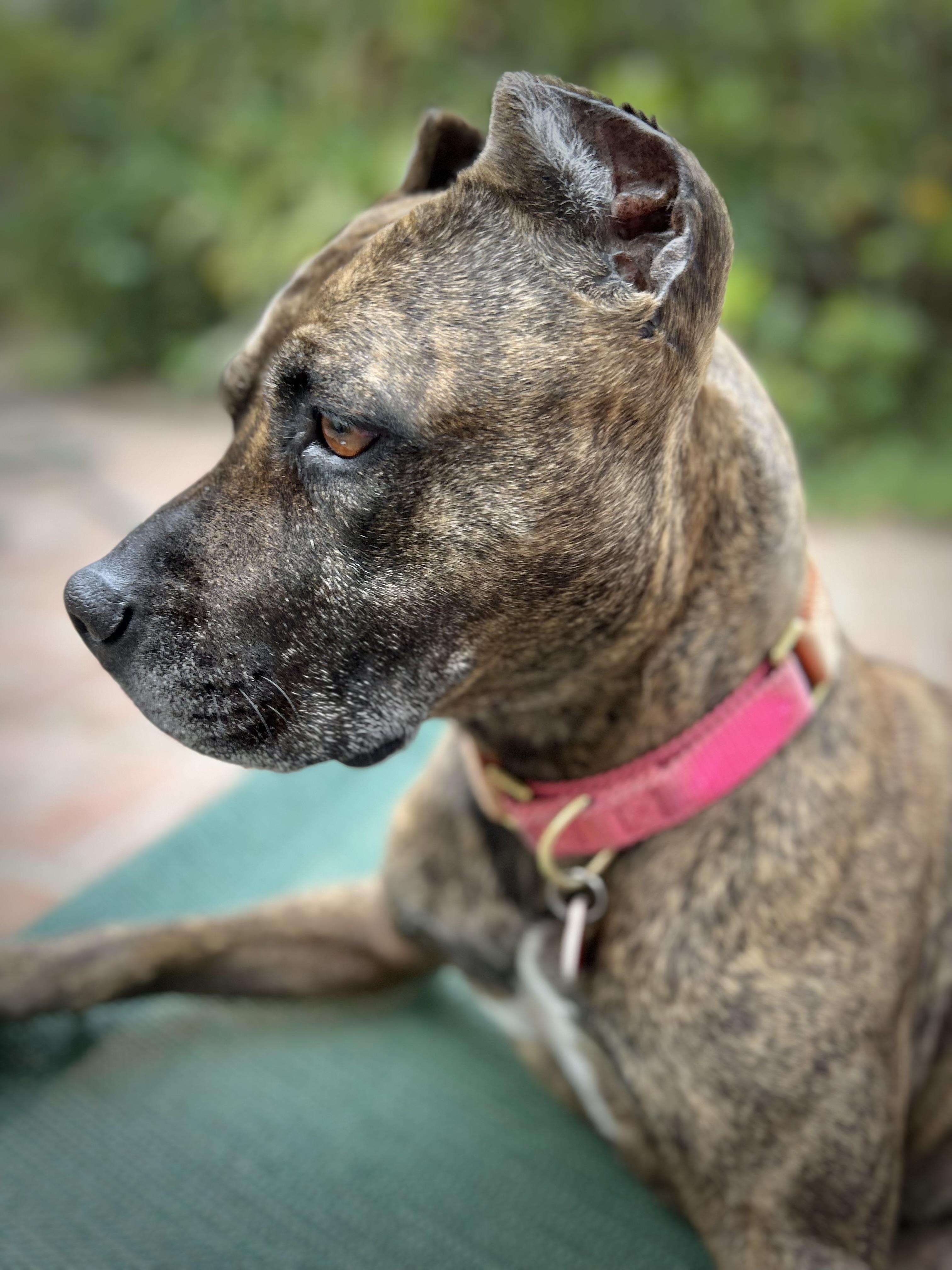 Sweetie is a treasure photo 2