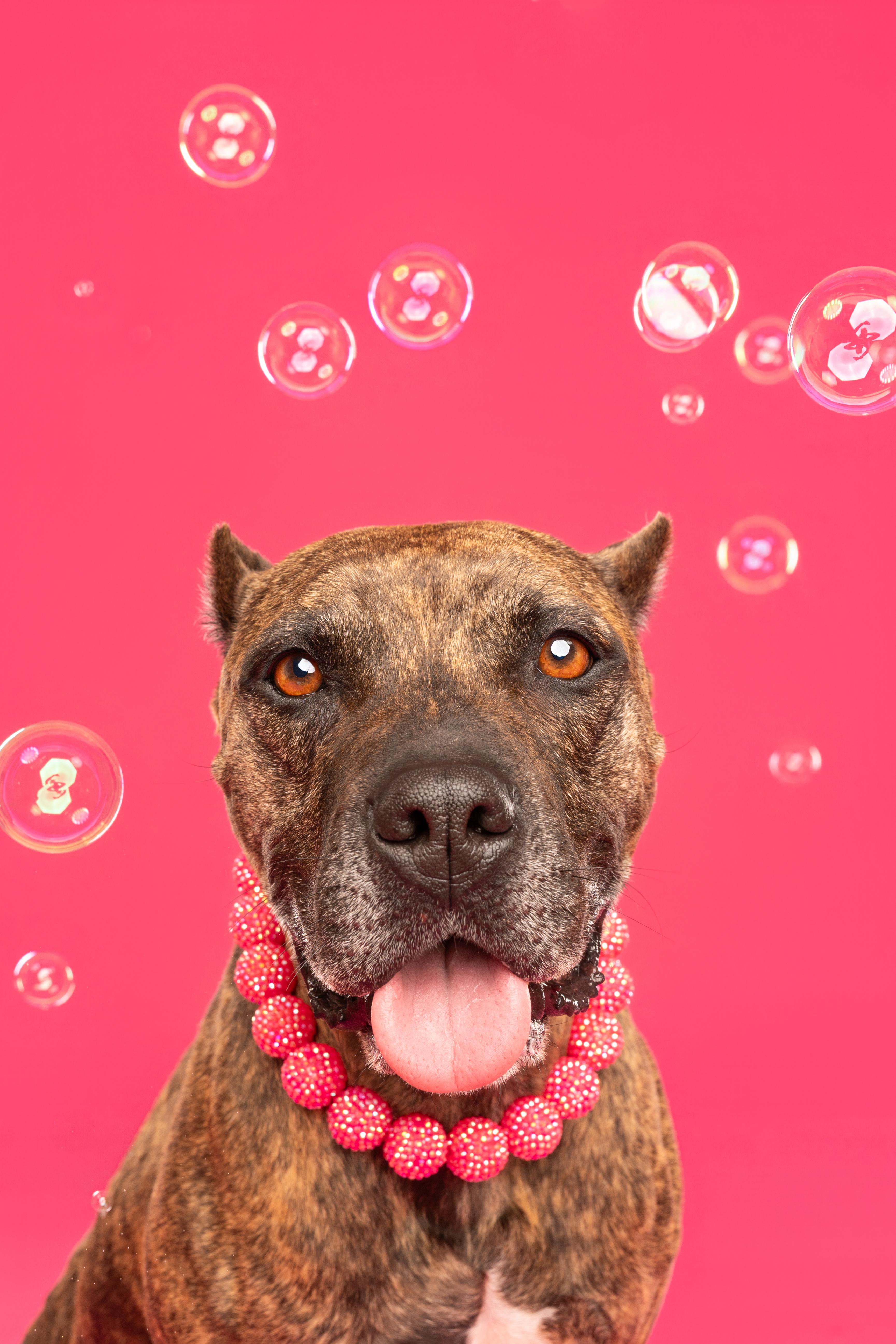 Sweetie is a treasure photo 1