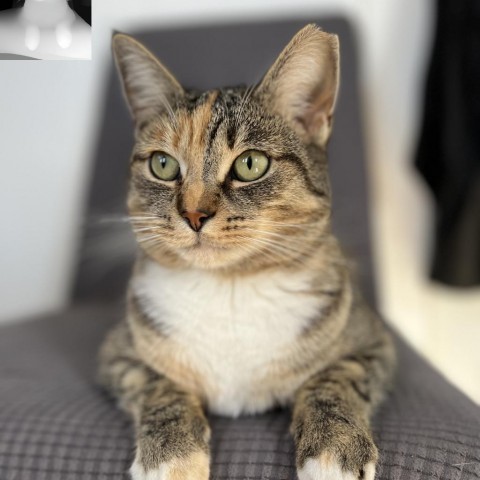 Lucy 2