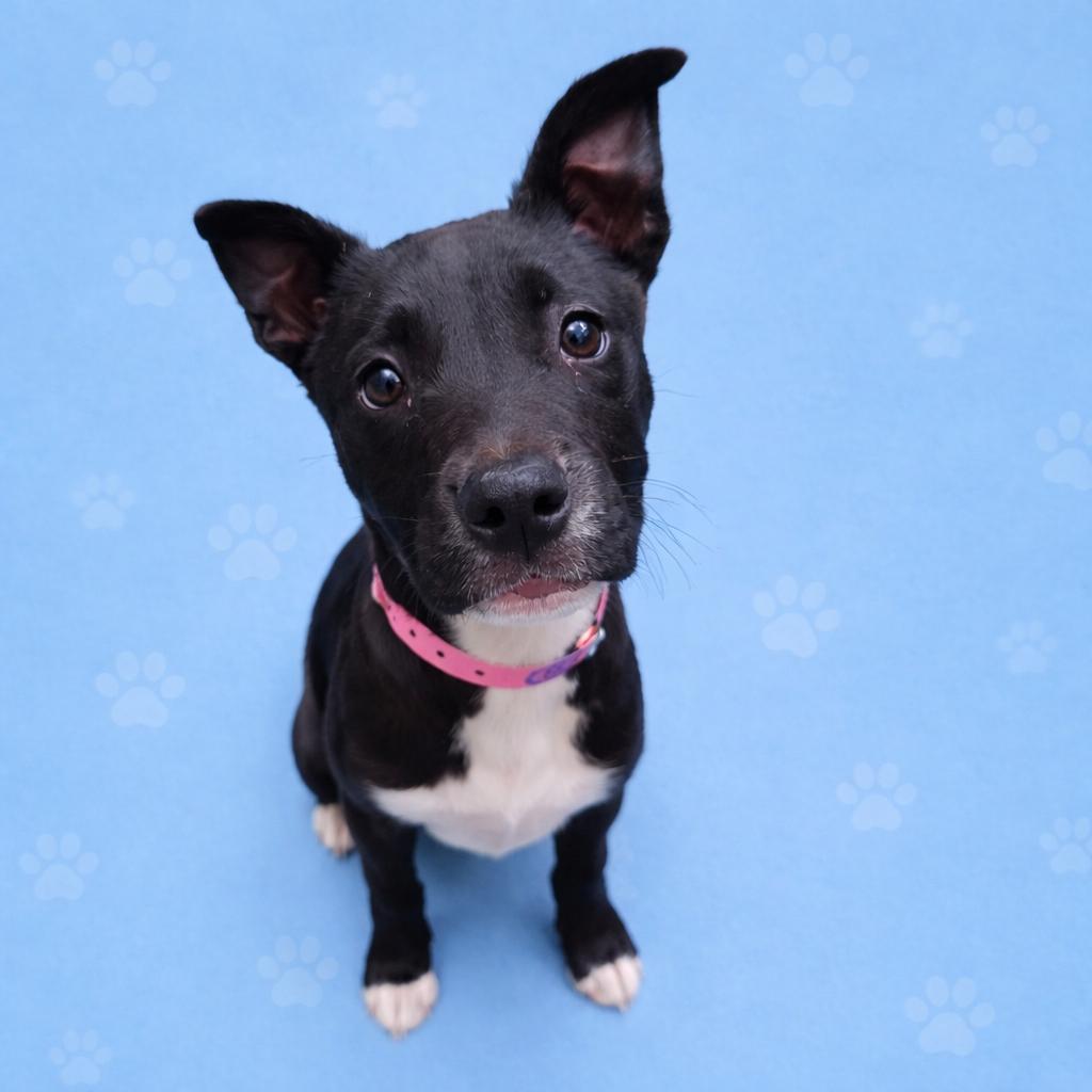 Soul — thumbnail 2