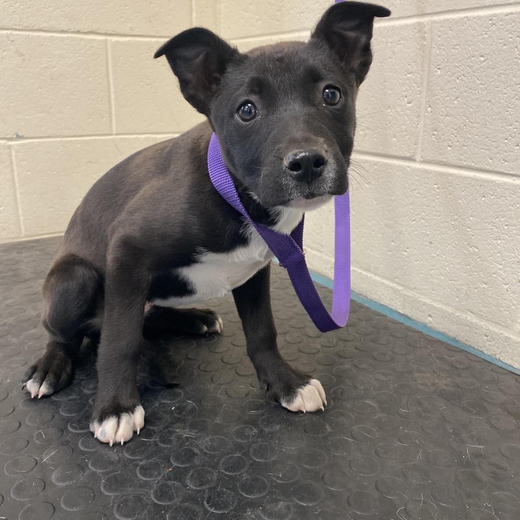 Soul — thumbnail 3