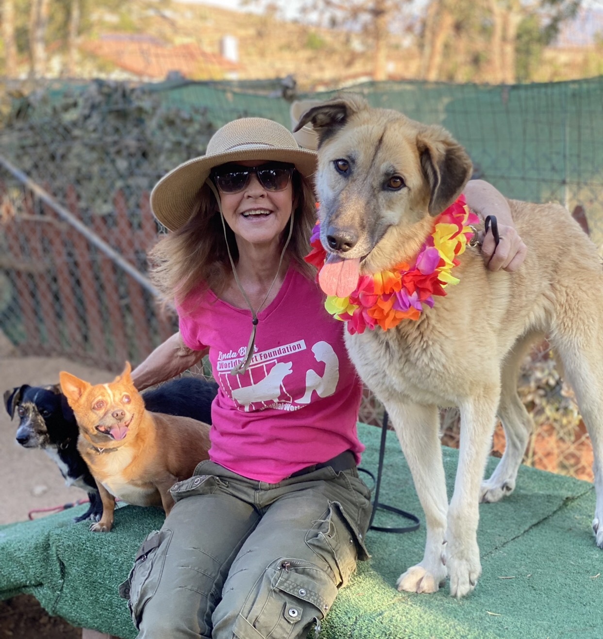 Enlarge BELLA, a Adoptable mixed breed in Acton, CA image 10/12