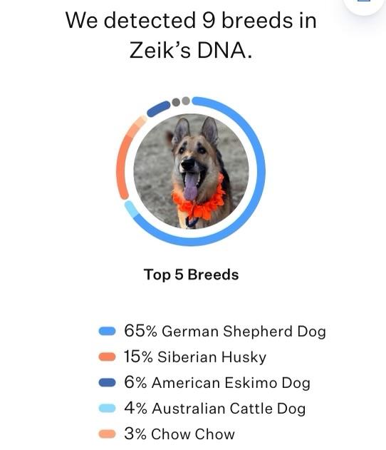 Zeik