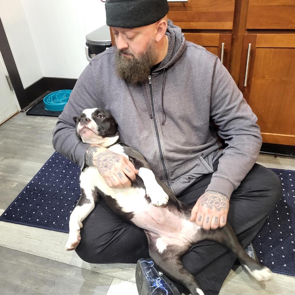 Coco Melon thumbnail 4