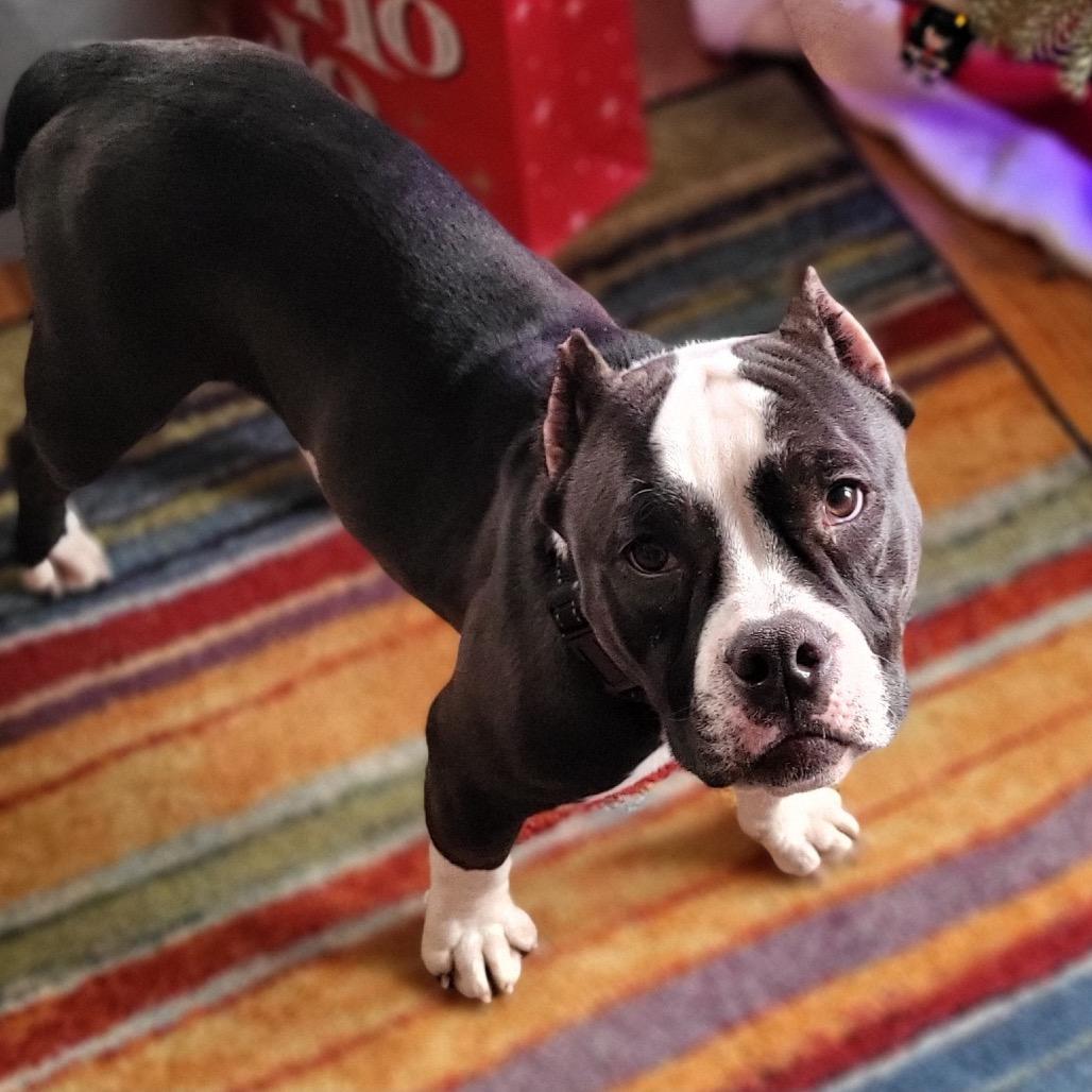 Coco Melon thumbnail 6