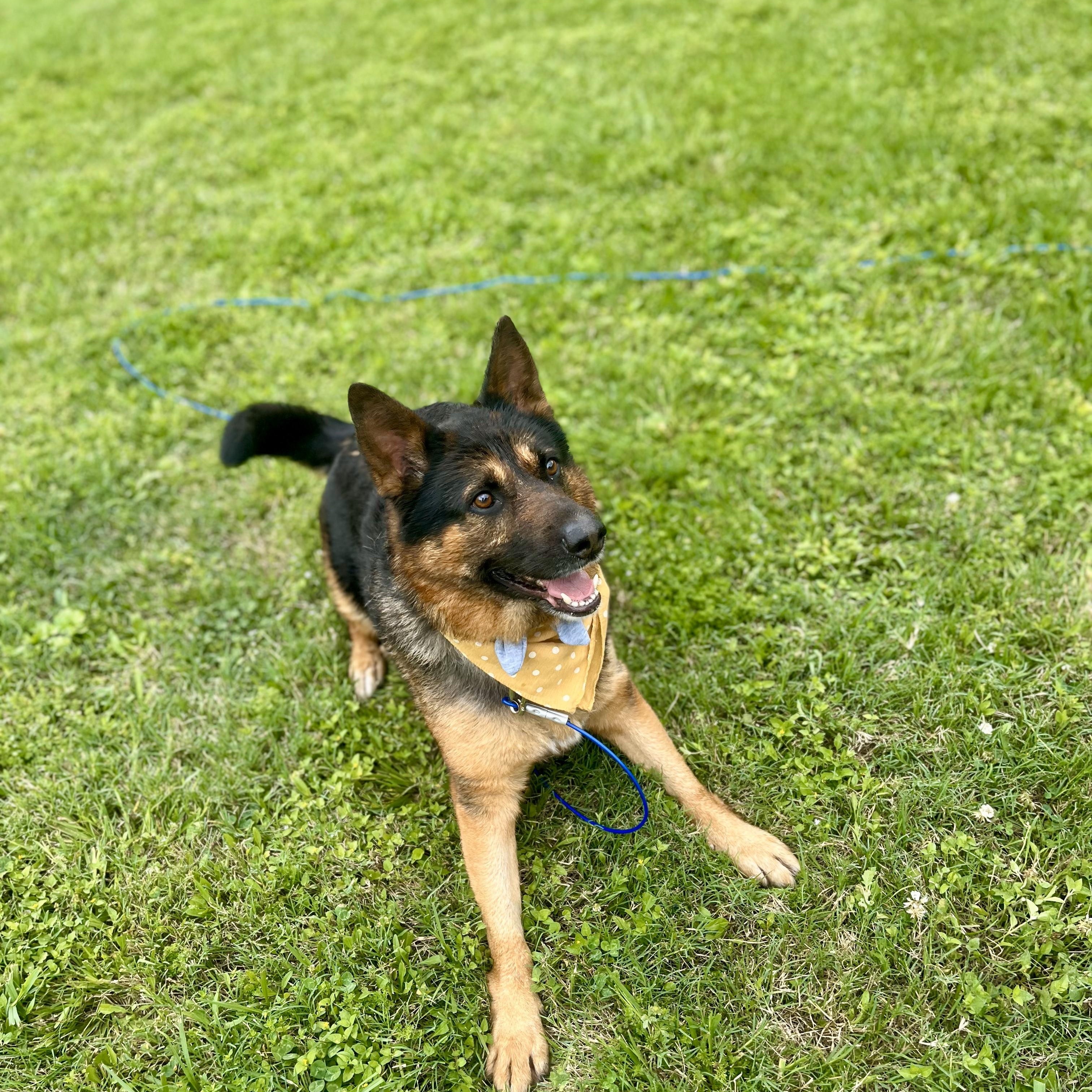 Gnocchi — thumbnail 6