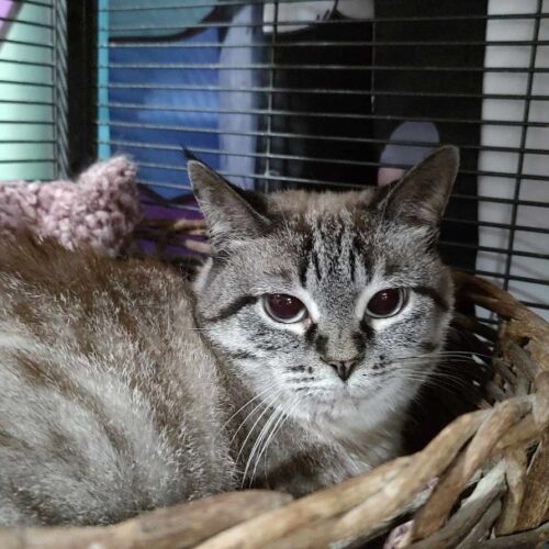 Goldie Hawn thumbnail 7