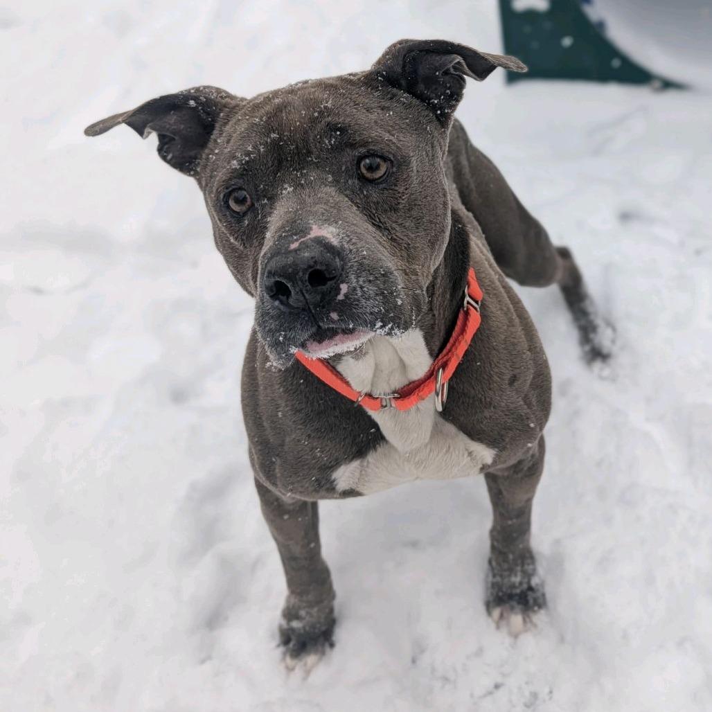 Boss Man — thumbnail 4