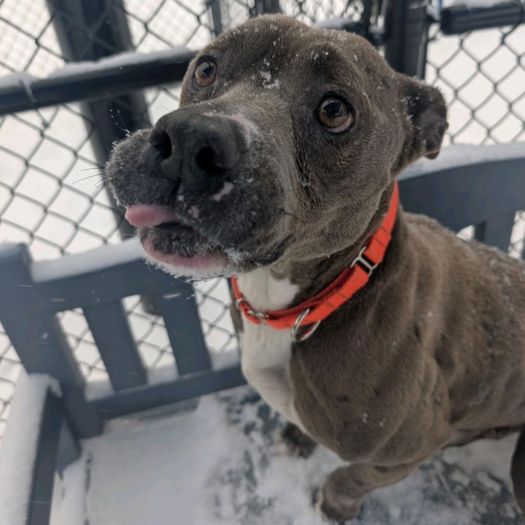 Boss Man — thumbnail 5