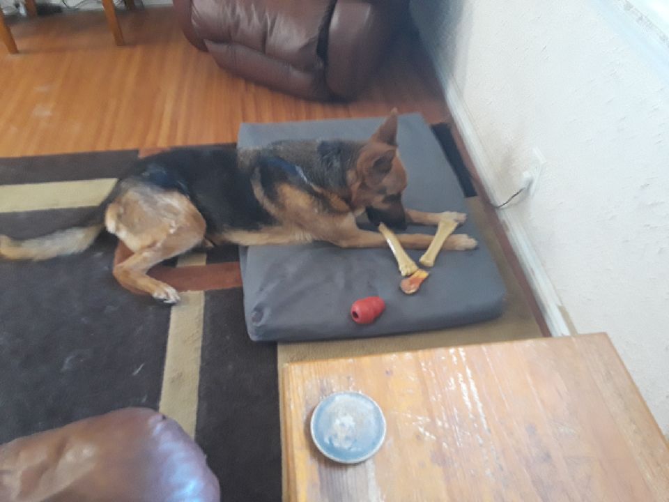 Simon 3