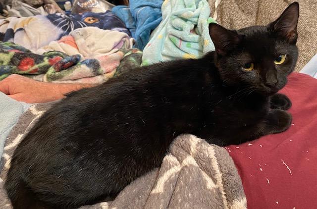 Salem w/Melba (FCID# 09/03/2025 - 7)