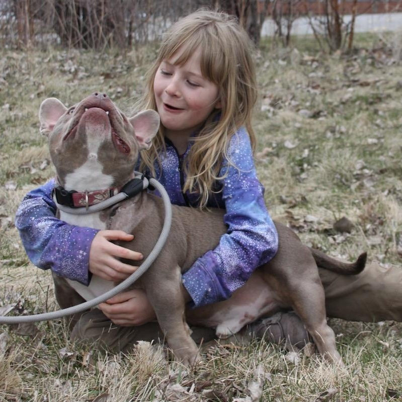 Enlarge Niko, a ADOPTABLE mixed breed in Williston, VT image 6/6