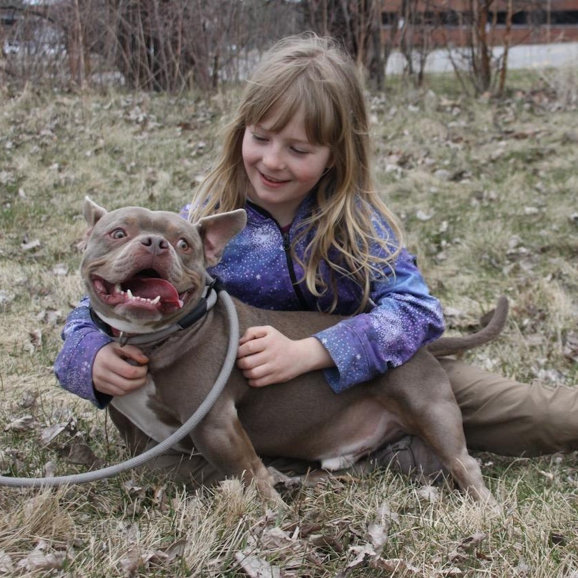 Enlarge Niko, a ADOPTABLE mixed breed in Williston, VT image 5/6