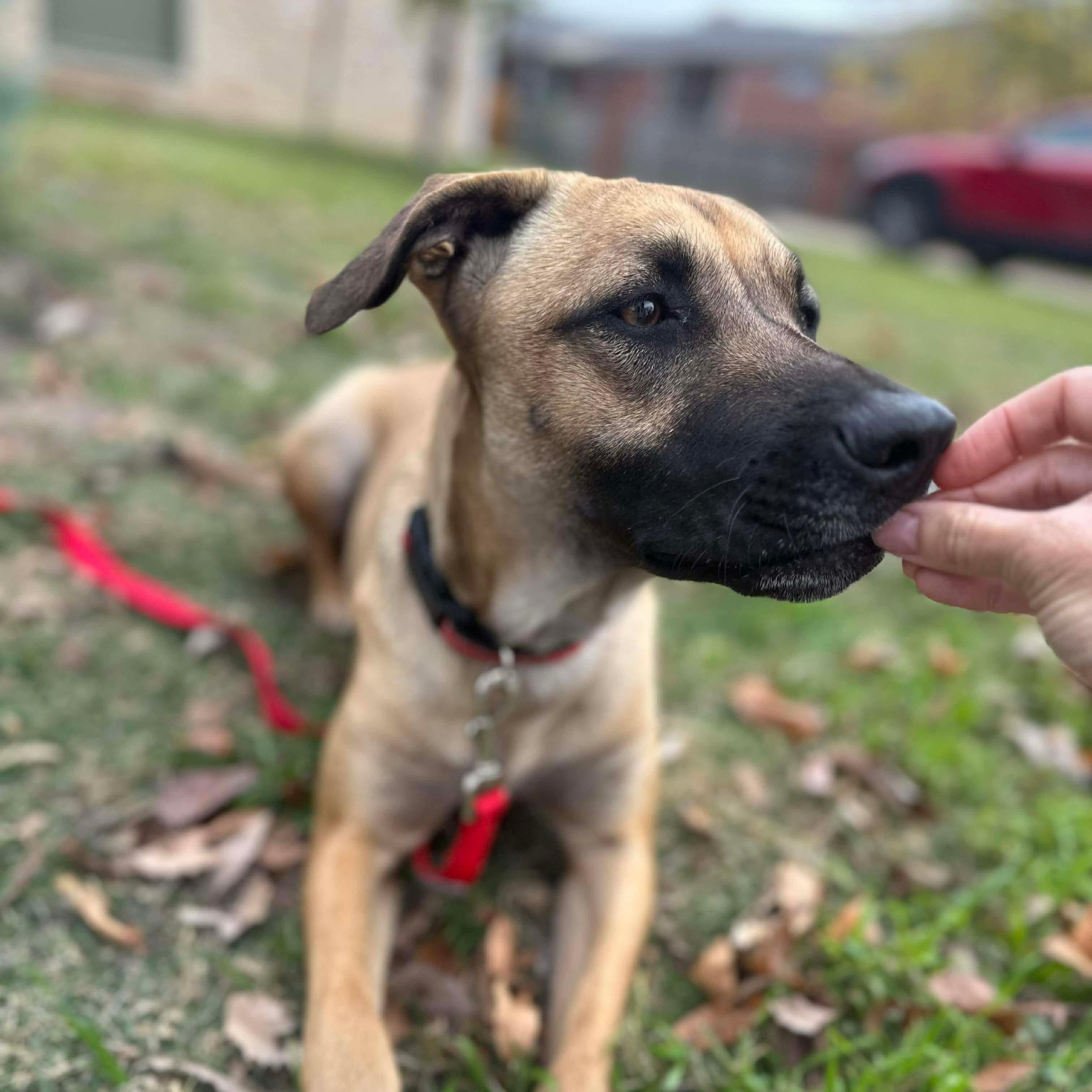 Lola — thumbnail 4