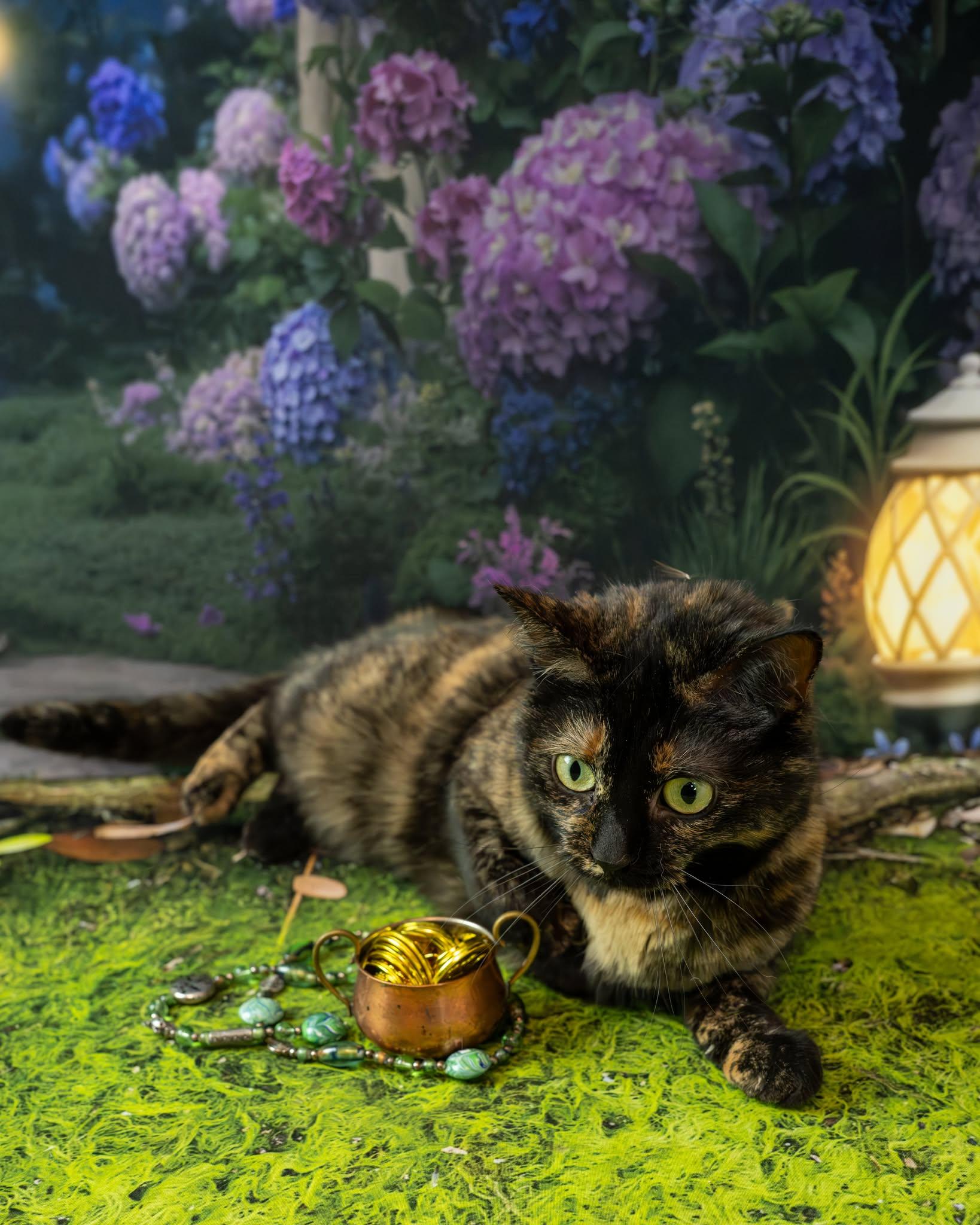 Jolene — thumbnail 5