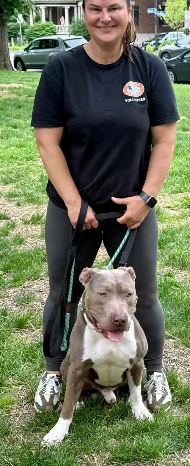Enlarge Tugboat, a ADOPTABLE mixed breed in Buffalo, NY image 6/6