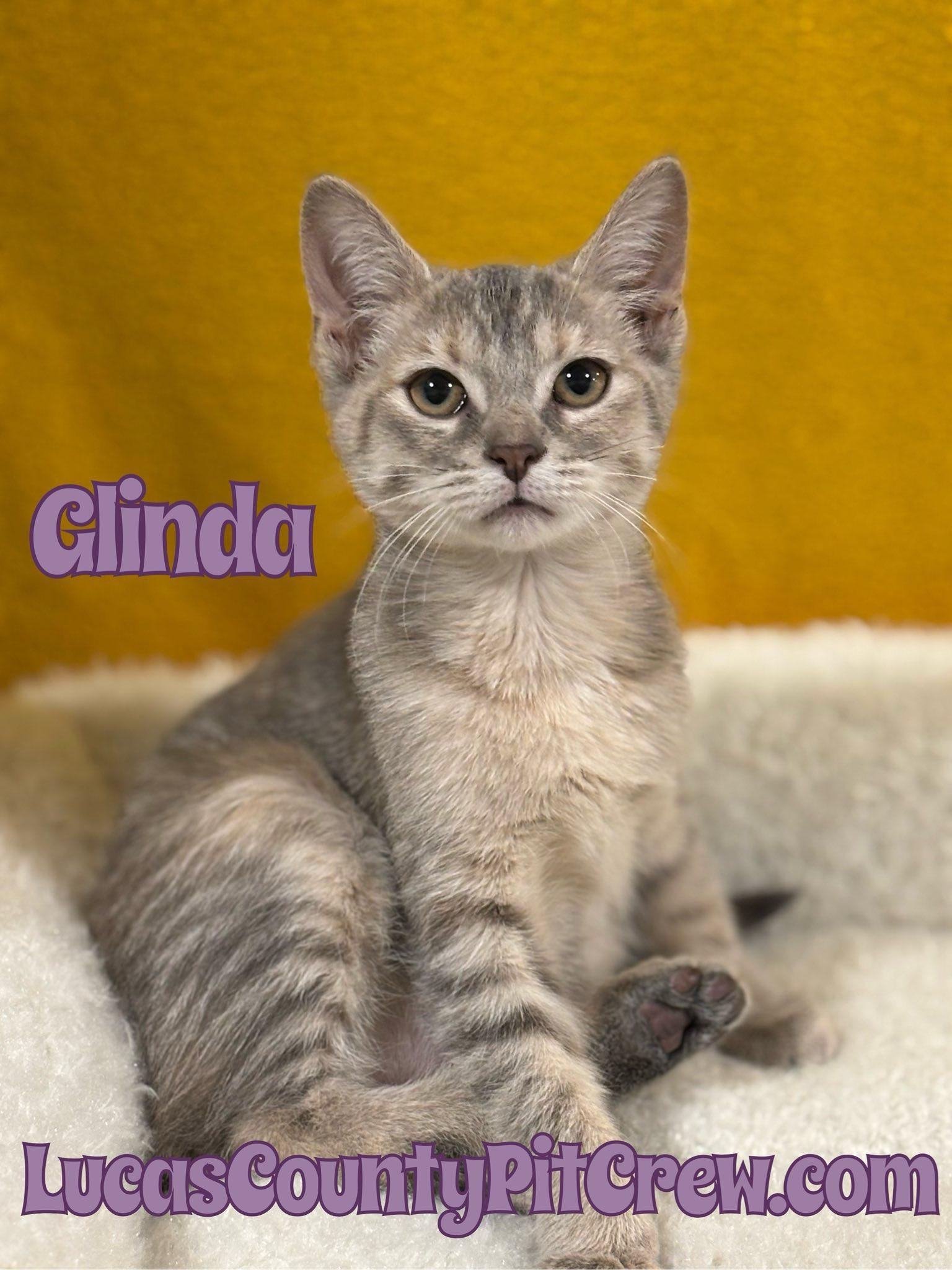 Glinda