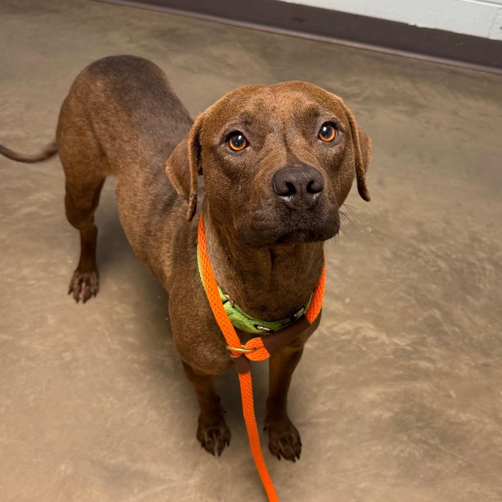 Pebbles — thumbnail 2