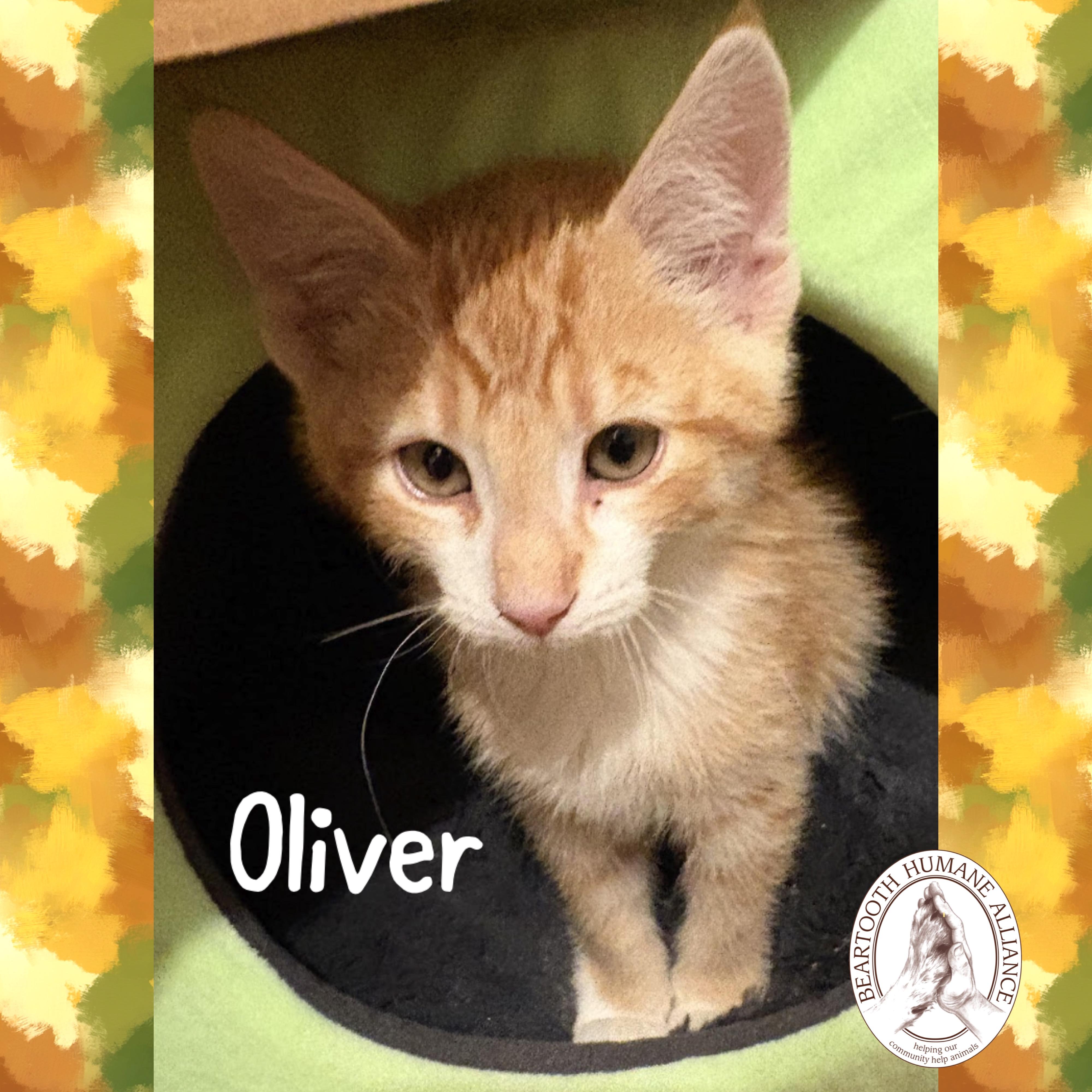 Oliver