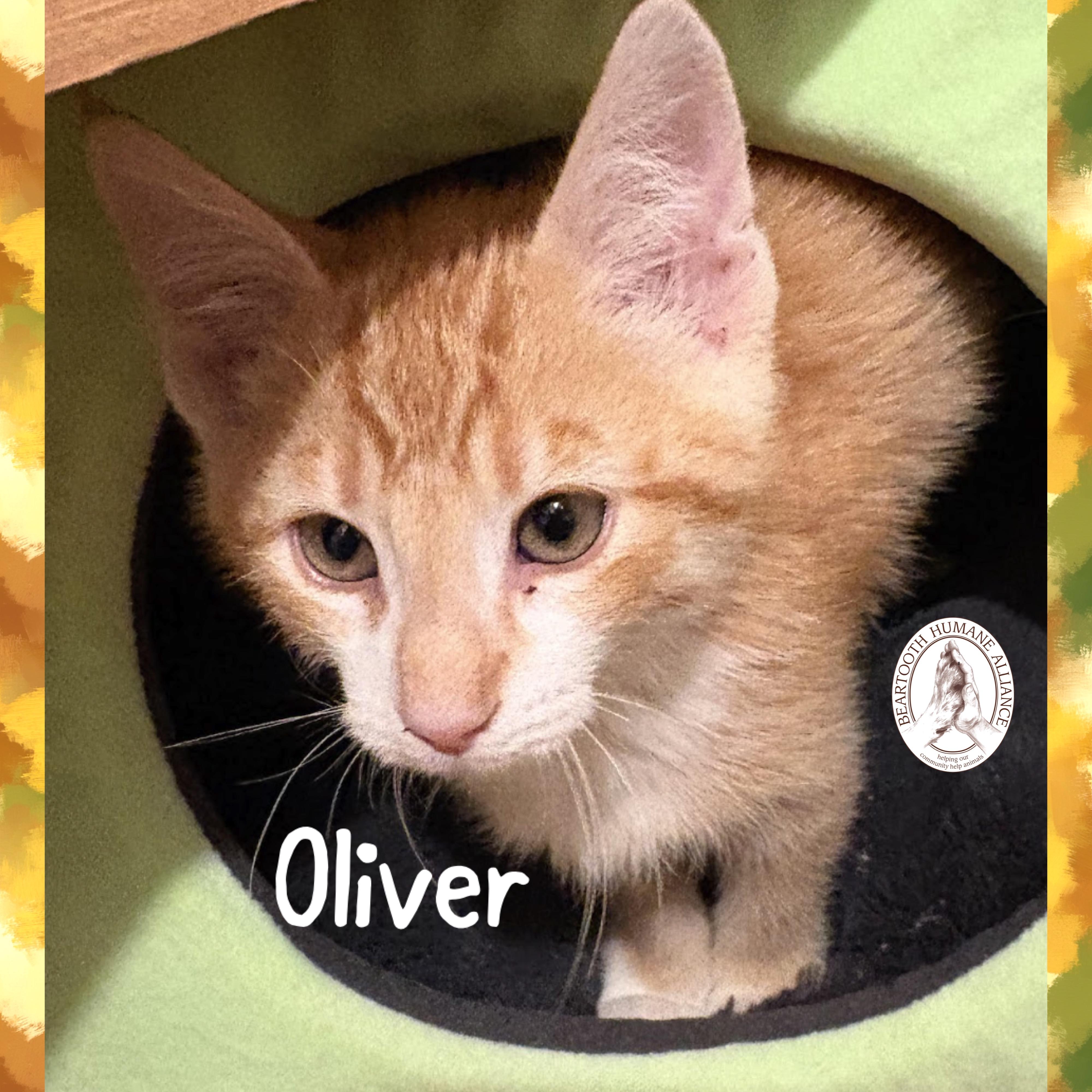 Oliver