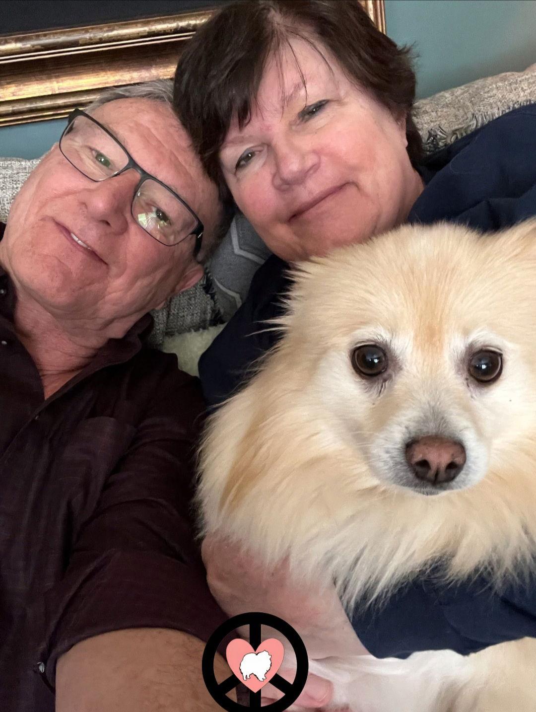 Enlarge Chloe Ann, a Adopted Pomeranian in Lebanon, PA image 3/3