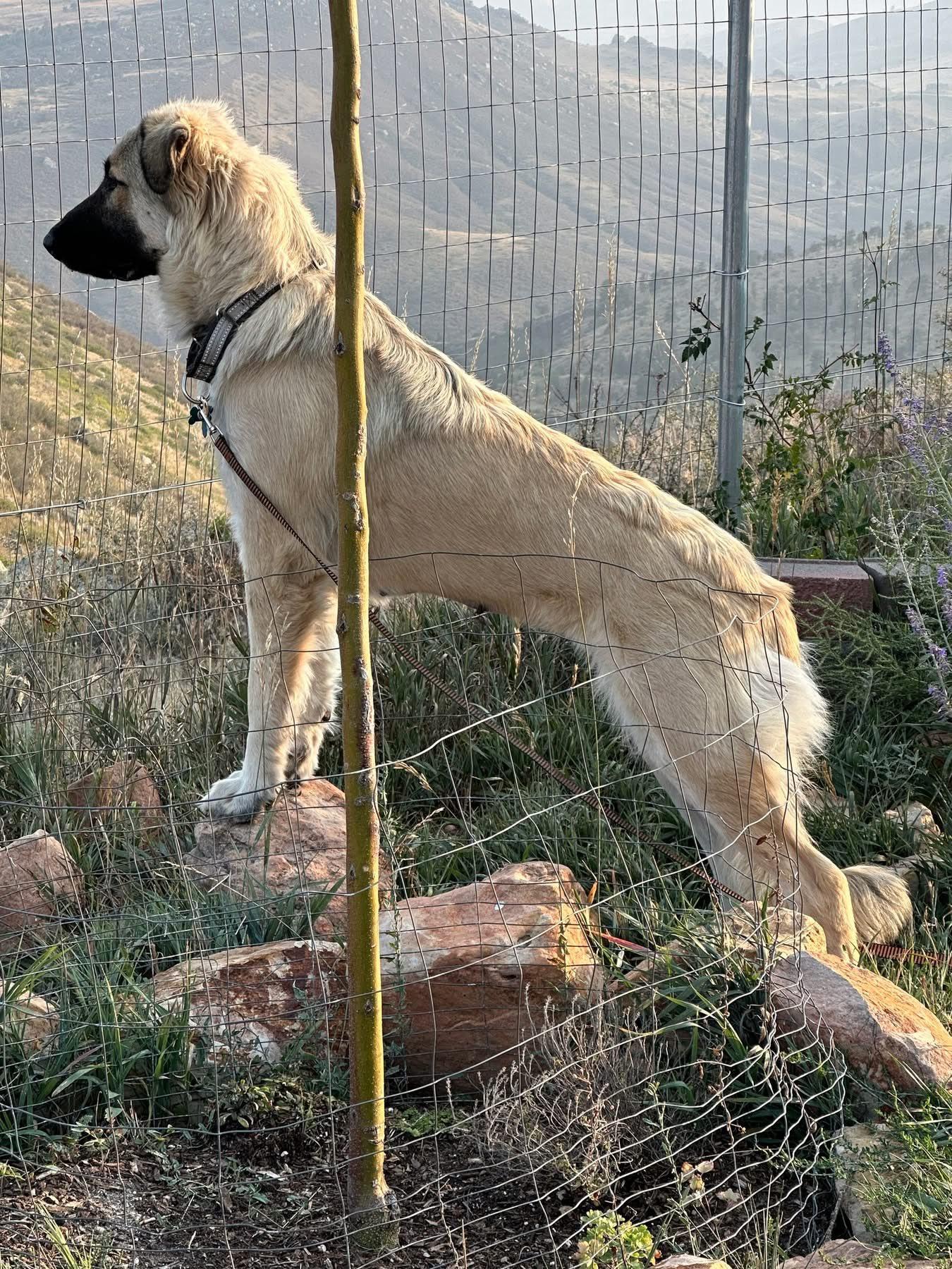 Sara  Loves To thumbnail 3