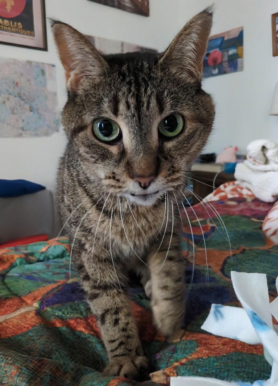 My Lady
