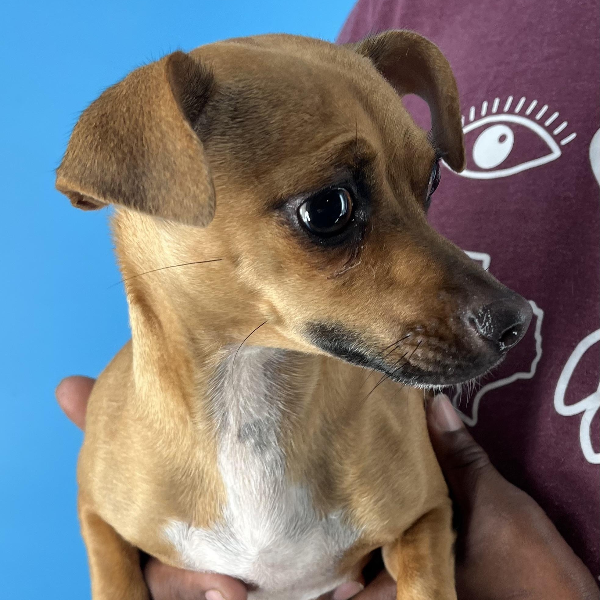 Karen  Local Dec thumbnail 5