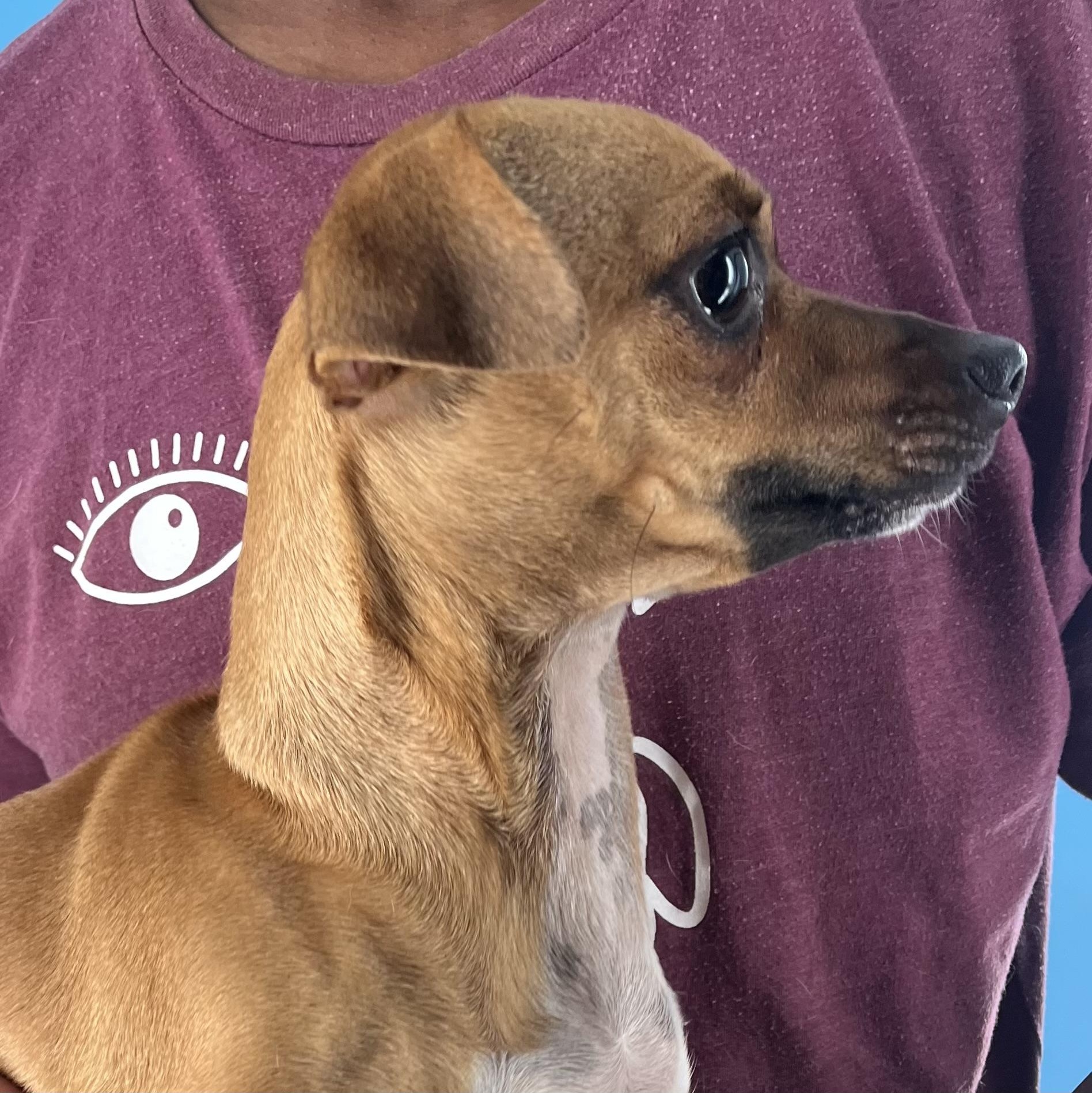 Karen  Local Dec thumbnail 4