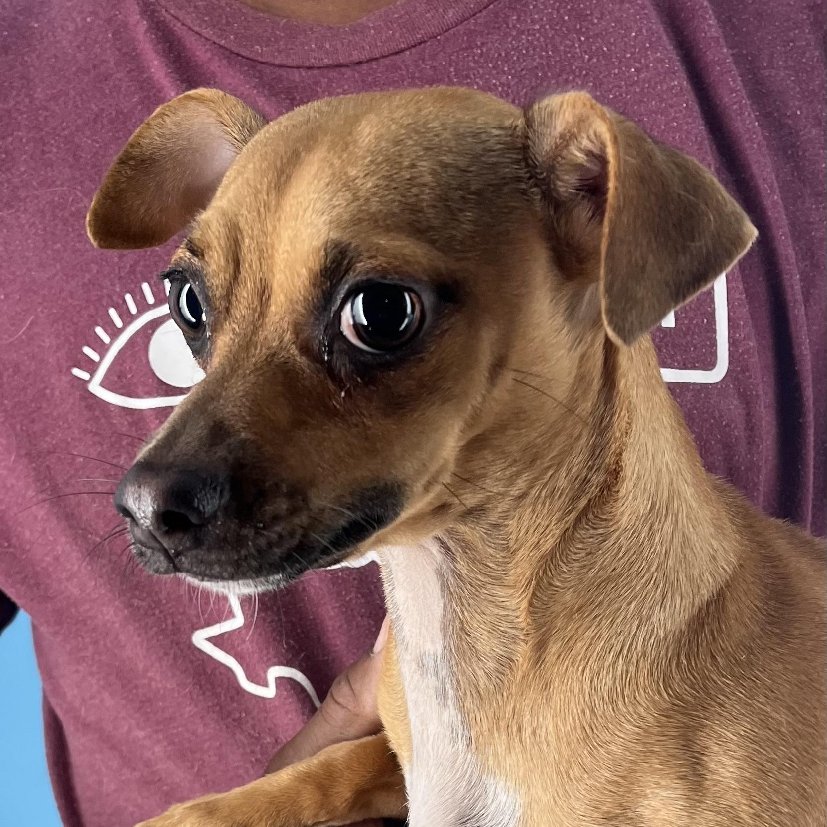 Karen  Local Dec thumbnail 3