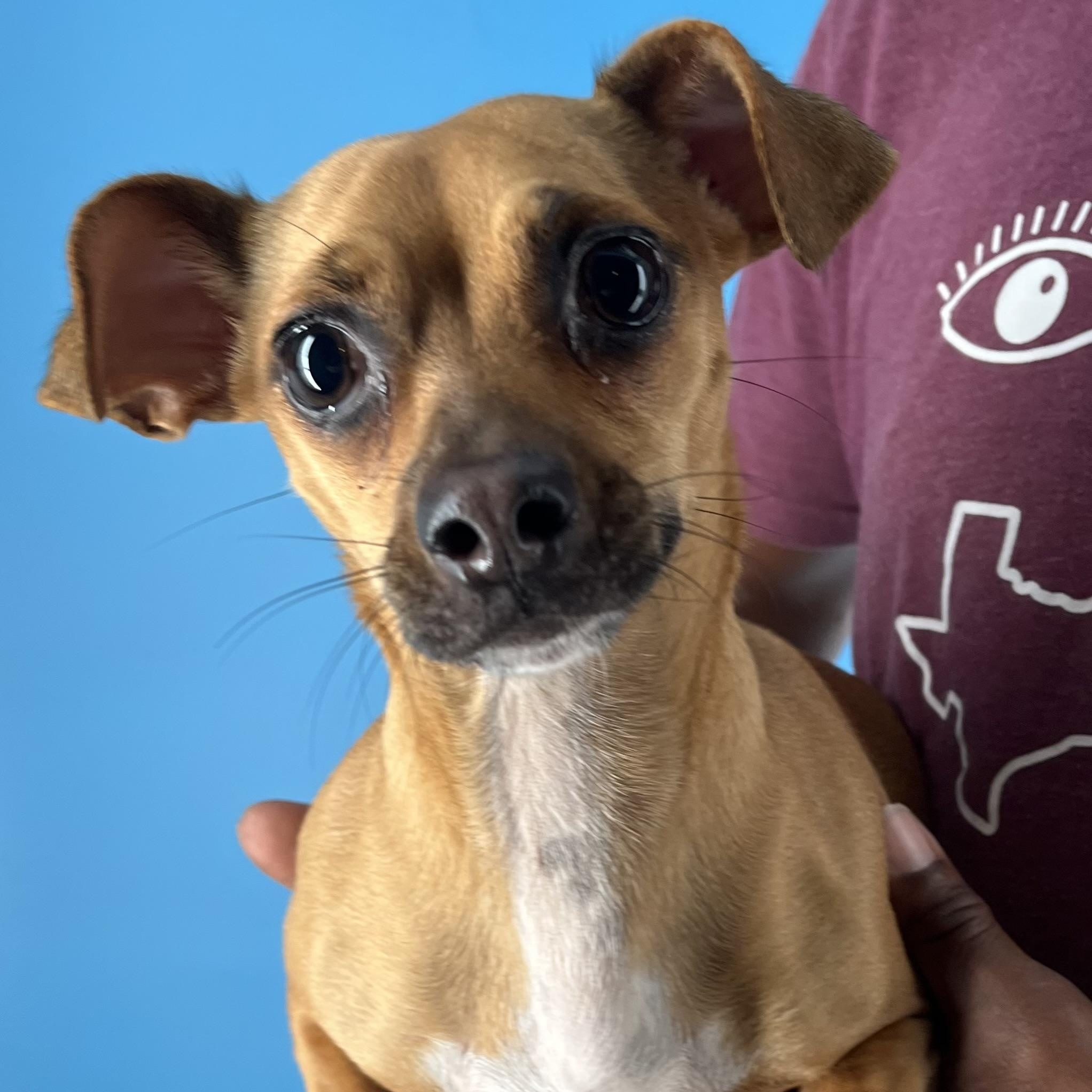 Karen  Local Dec thumbnail 6