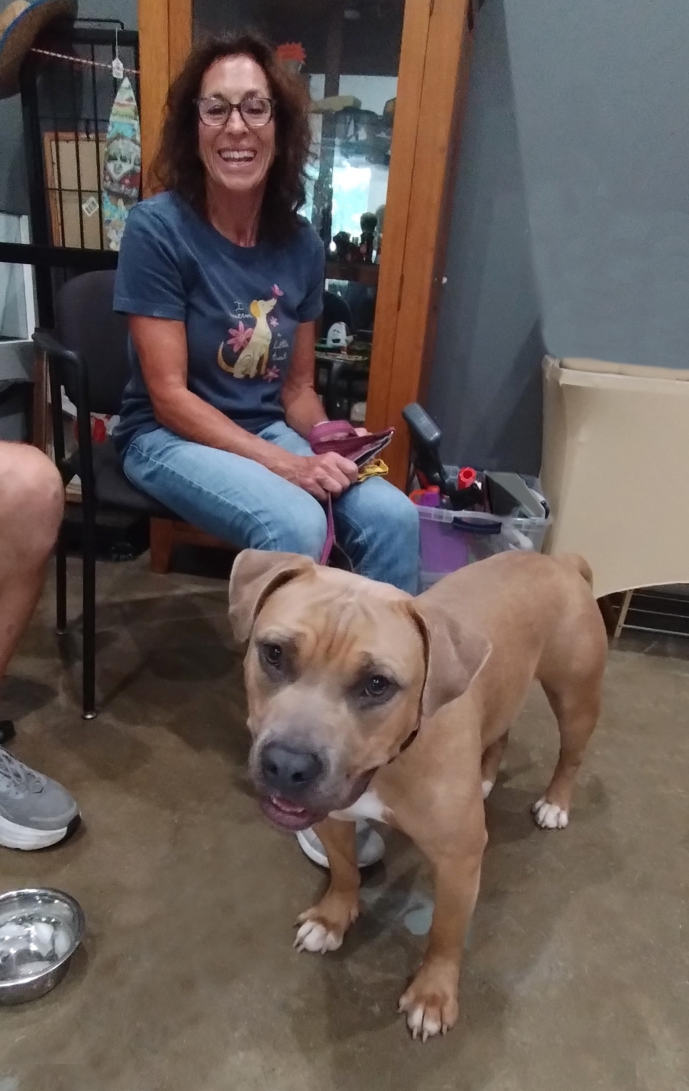 Bob, a ADOPTABLE mixed breed in Benton Harbor, MI image 4/5