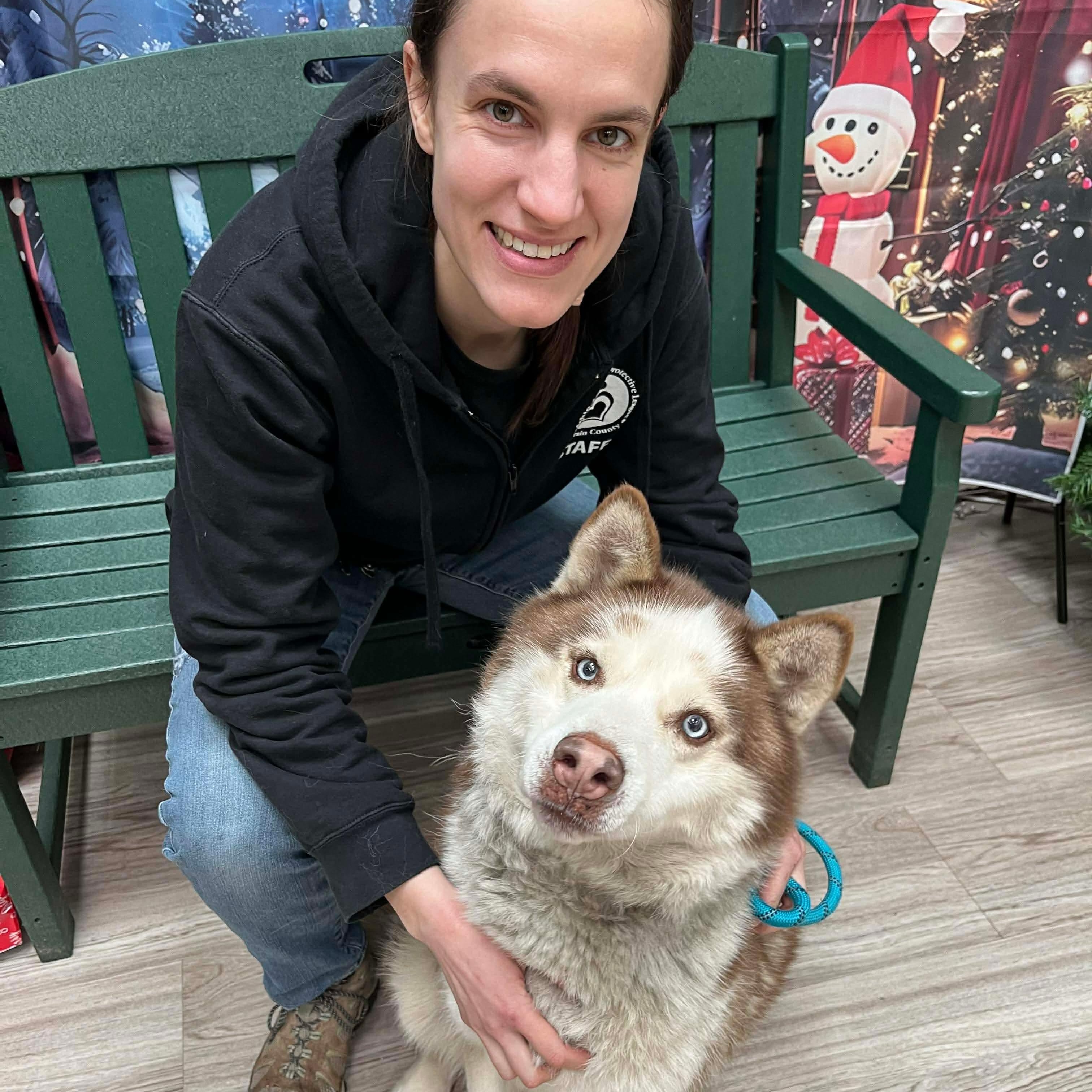 Loki, Adoptable, Senior Male Husky.