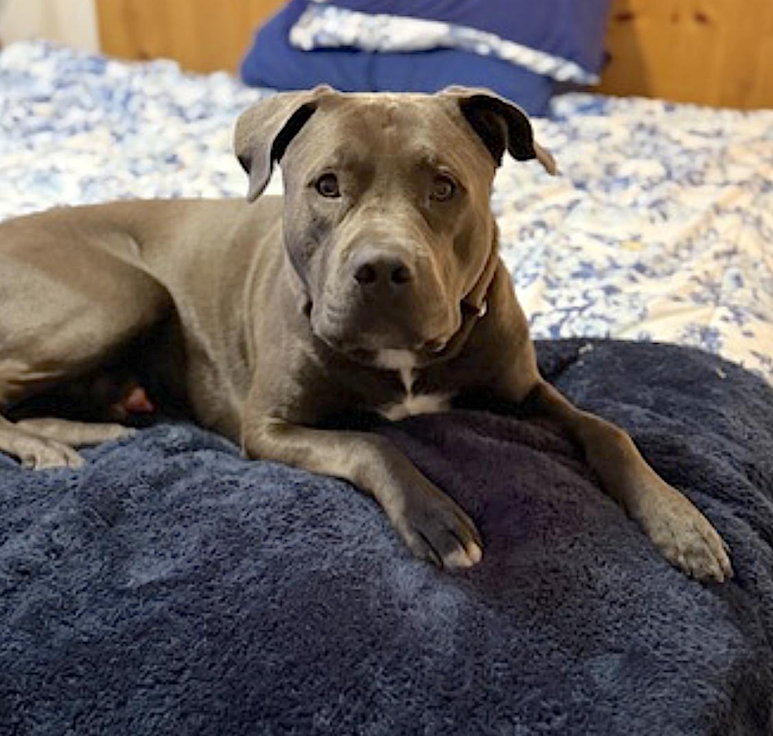 Barry — thumbnail 3