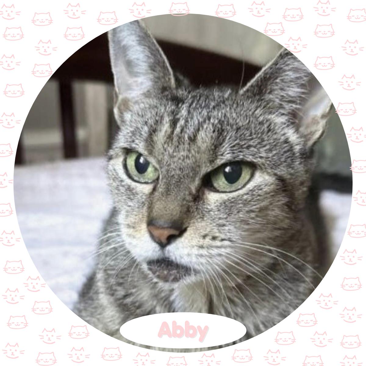 Abby photo 2