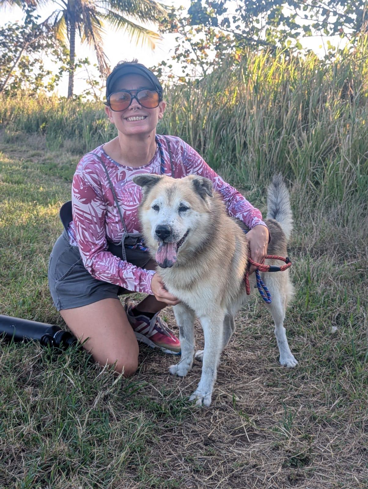 Enlarge ZEUS - Goofy boy!, a Adoptable mixed breed in Annapolis, MD image 2/6
