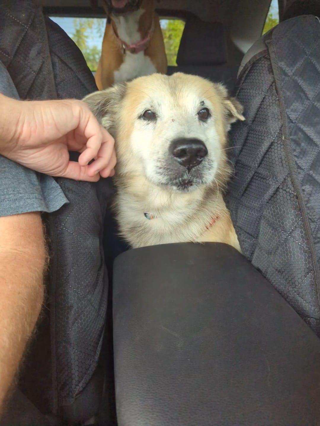 Zeus  Goofy Boy! thumbnail 6