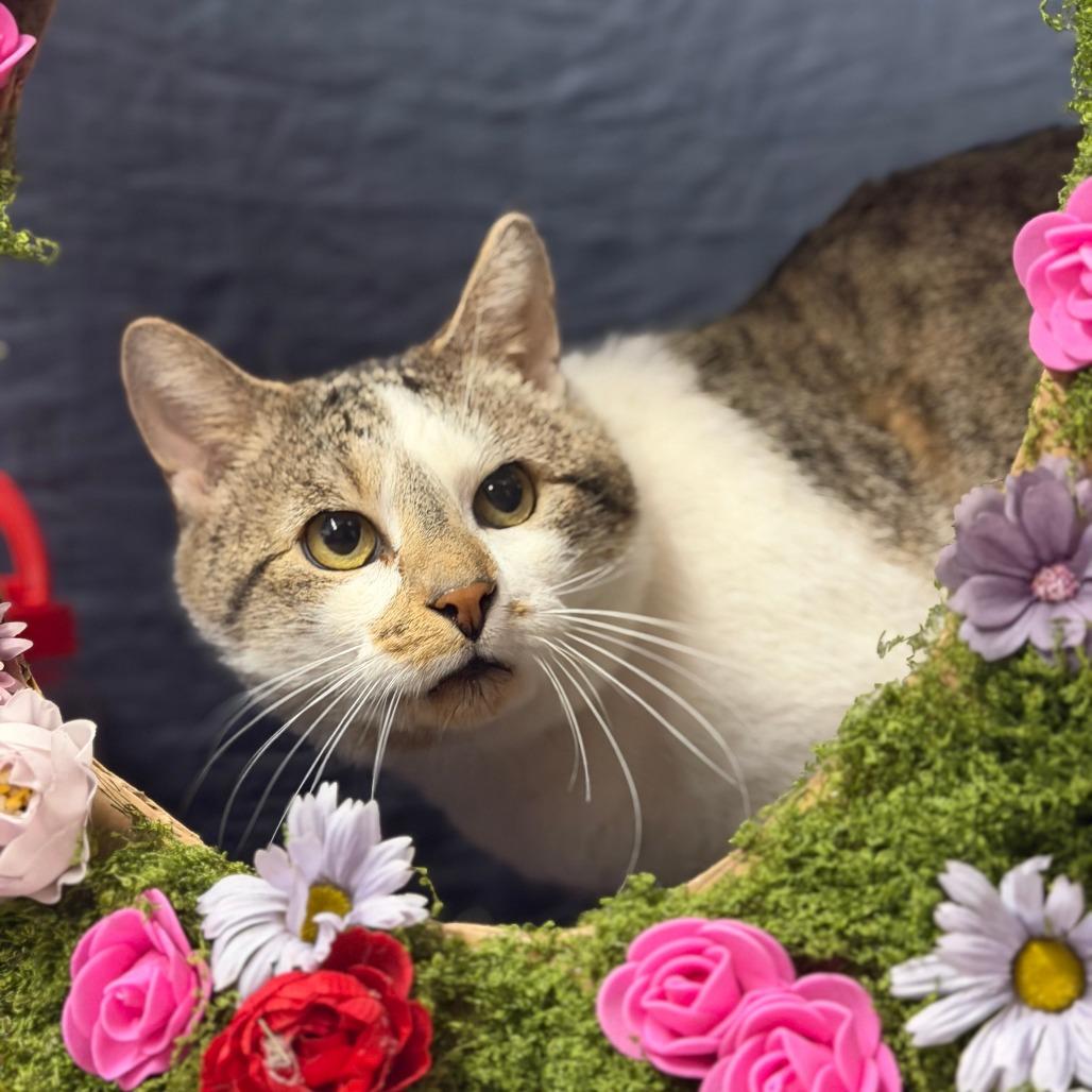 Floyd — thumbnail 2