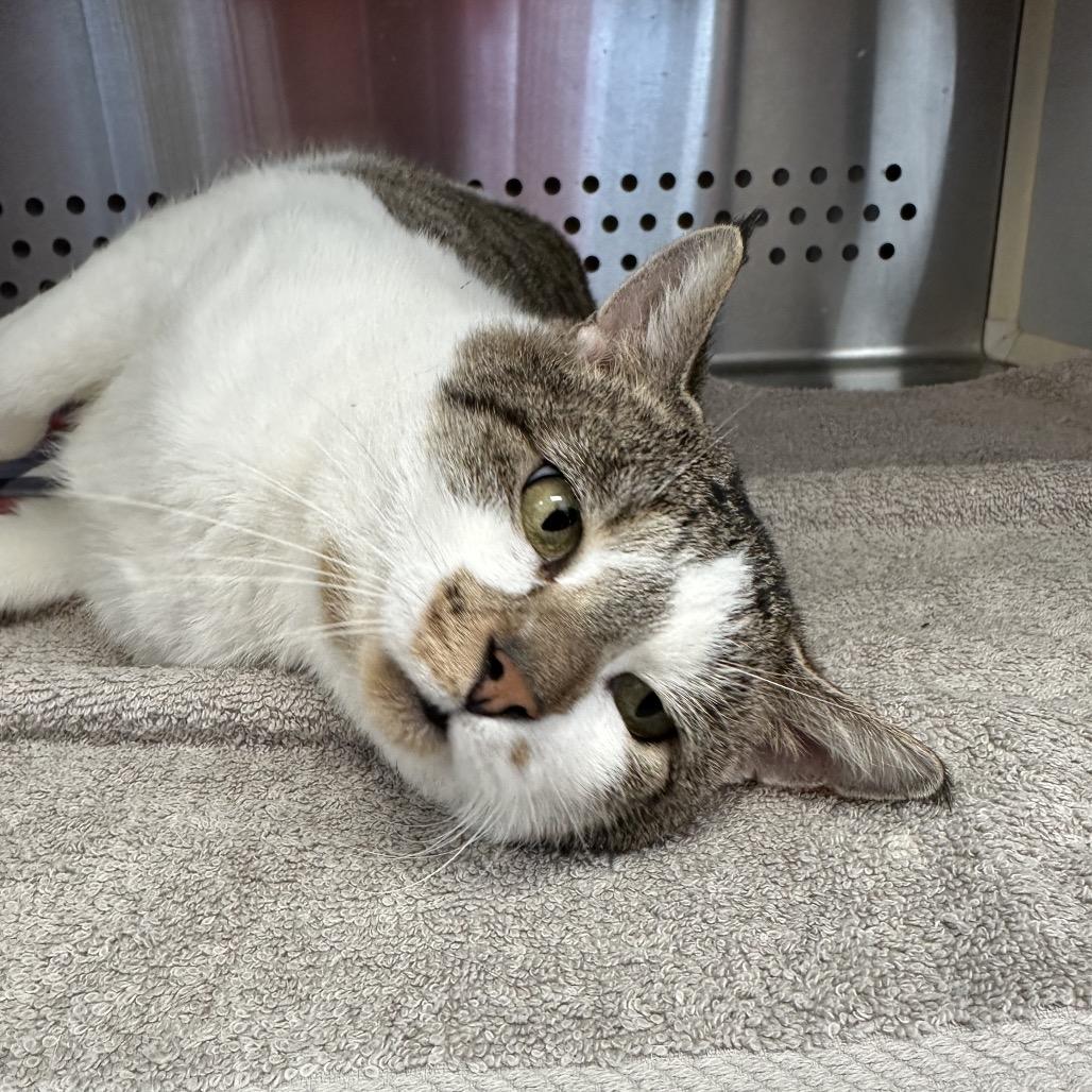 Floyd — thumbnail 3