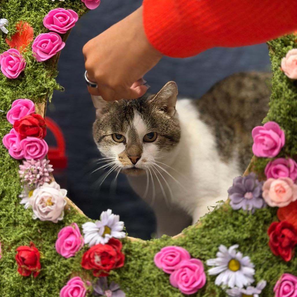 Floyd — thumbnail 4