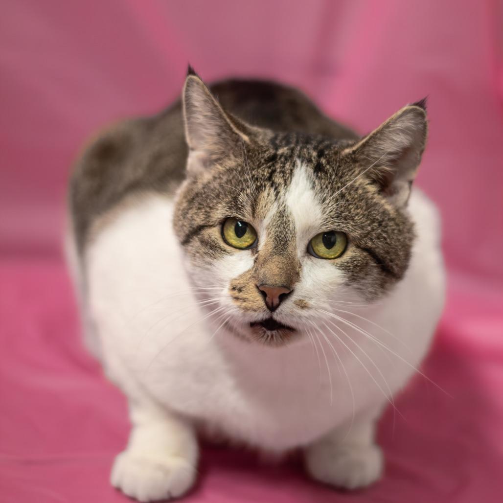 Floyd — thumbnail 5