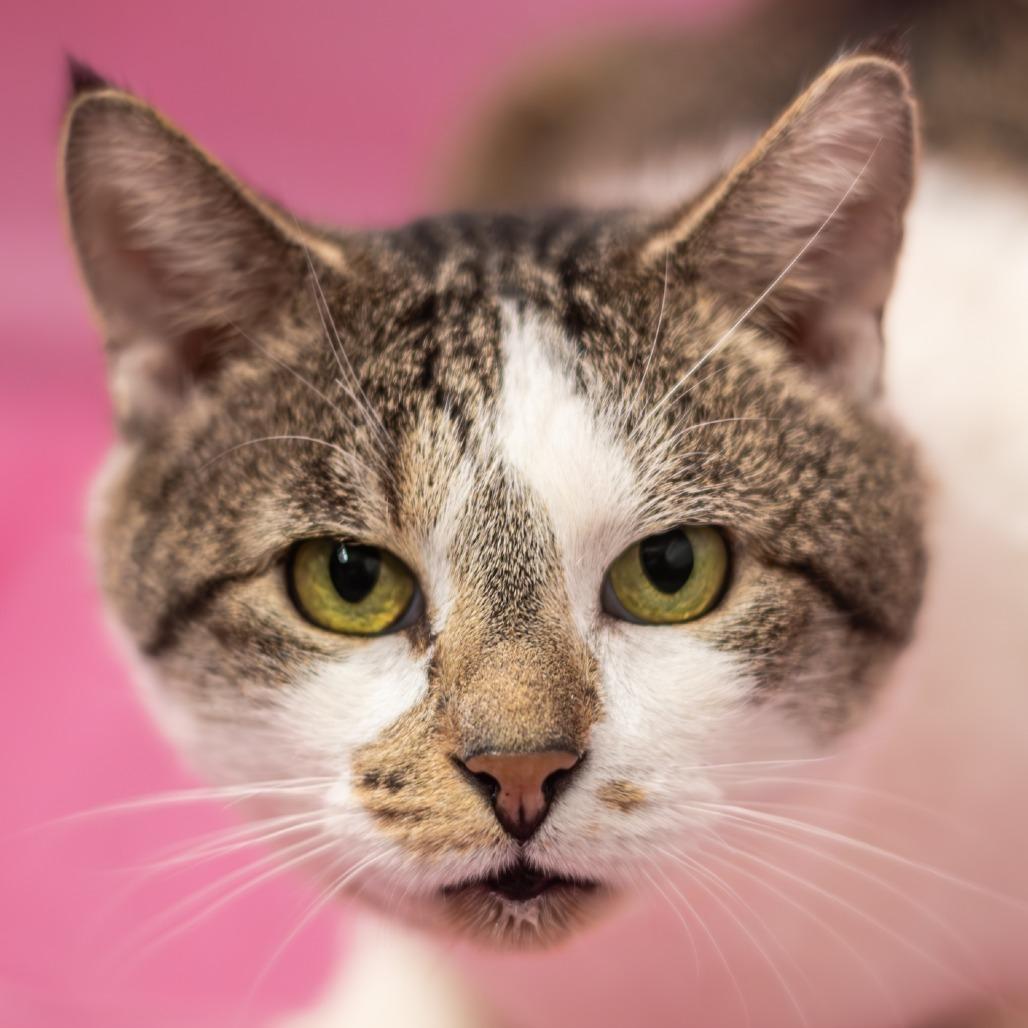 Floyd — thumbnail 6