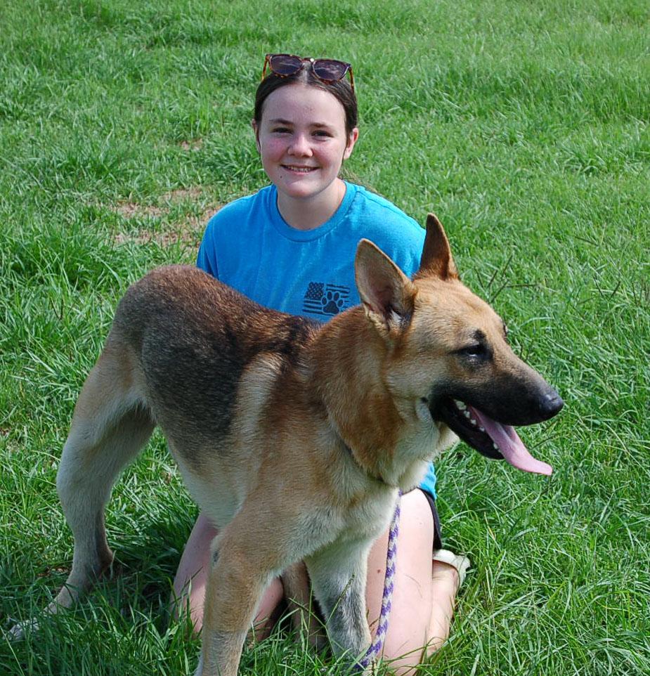 Enlarge LEO, a Adoptable German Shepherd Dog in Preston, CT image 5/6