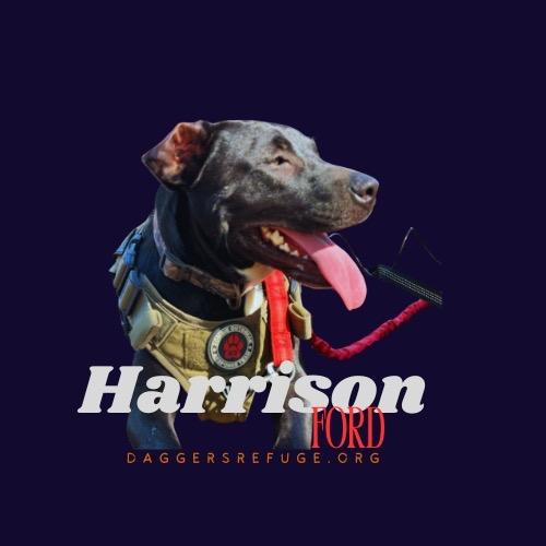Harrison Ford