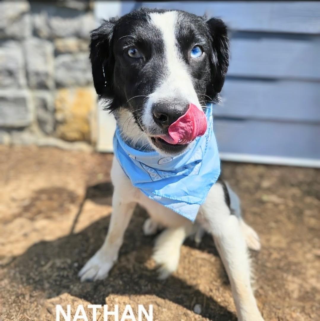 Nathan thumbnail 3