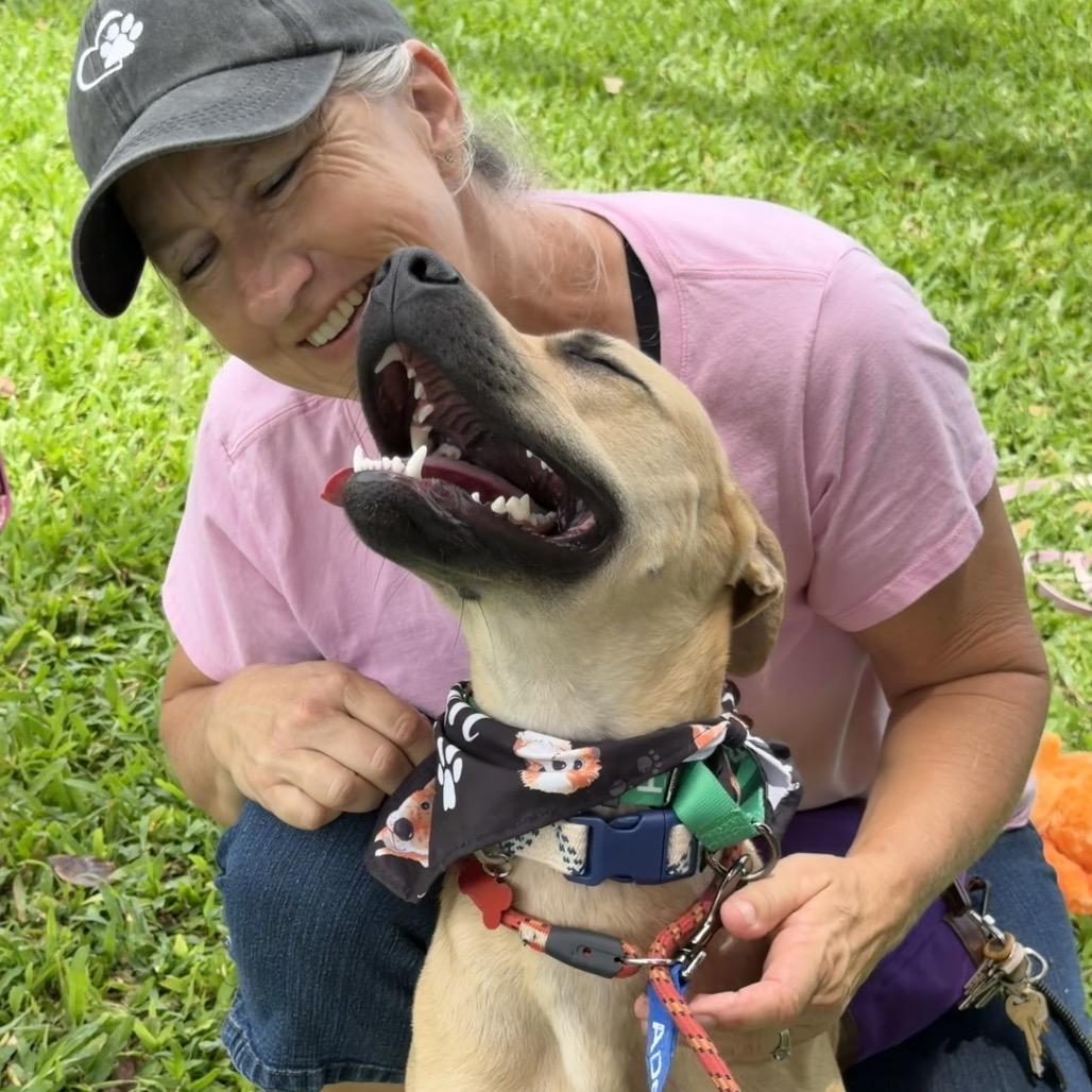 Enlarge Phoebe (Charmed Litter), a Adoptable Mixed Breed in Volcano, HI image 6/6