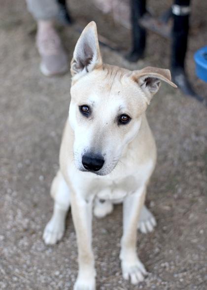 Dustin — thumbnail 2