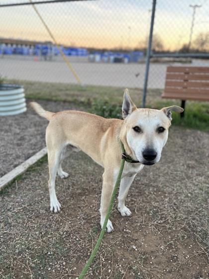 Dustin — thumbnail 3